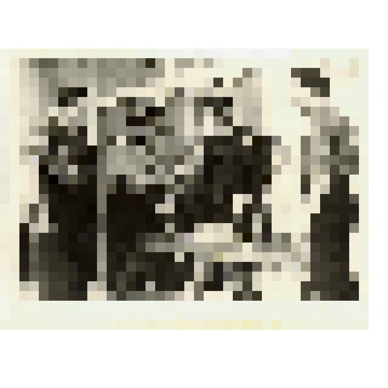 Фотография. Невинномысская  шерстомойная фабрика им. В.И.Ленина. Прибор для определения процента выхода шерсти. Создан рационализаторами Цинновым Г., Скляром Ф., Стрюковым П., Джулаевым