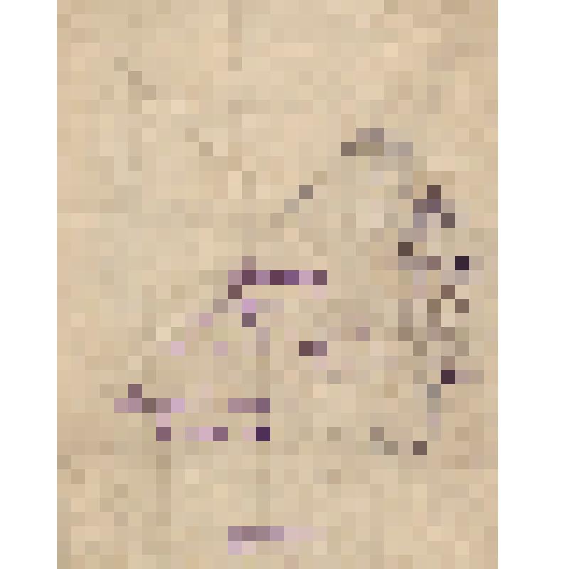 Письмо - треугольник   Антоновой О.Ф. в г. Фурманов, Ивановской обл. от сына Захарова А.И