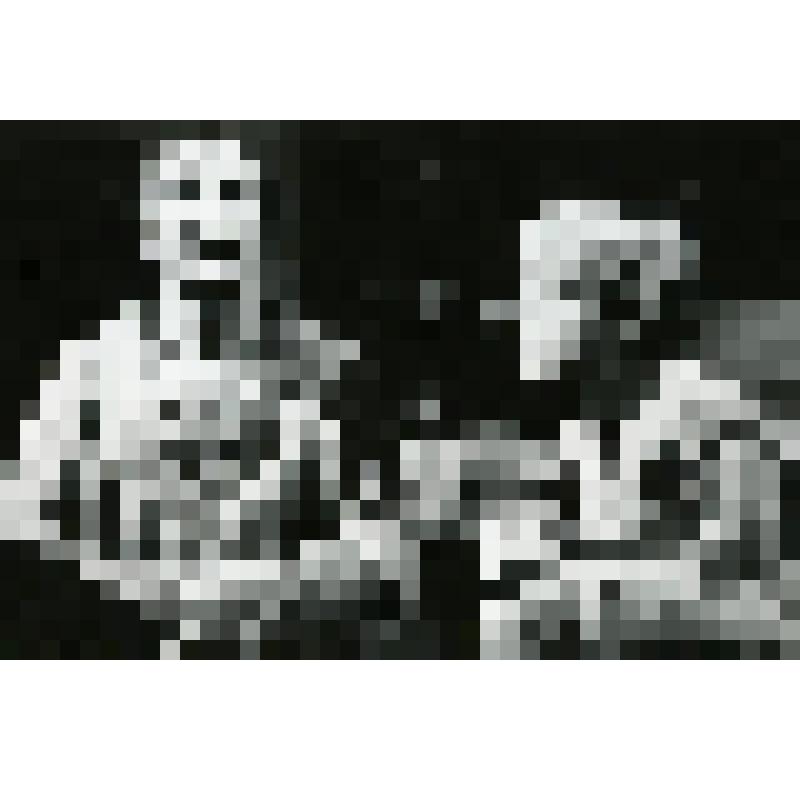 Фотография. П. Кормунин в р. Левона Зяблика, поясной, фас, ворот холщевой рубахи распахнут; Ю. Лесной в р. Данилки, поясной, профиль вправо, сидит. "Разоренное гнездо" (худ. Б. Герлован, комп. С. Кортес.). Белоруссия, Белорусский государственный академиче