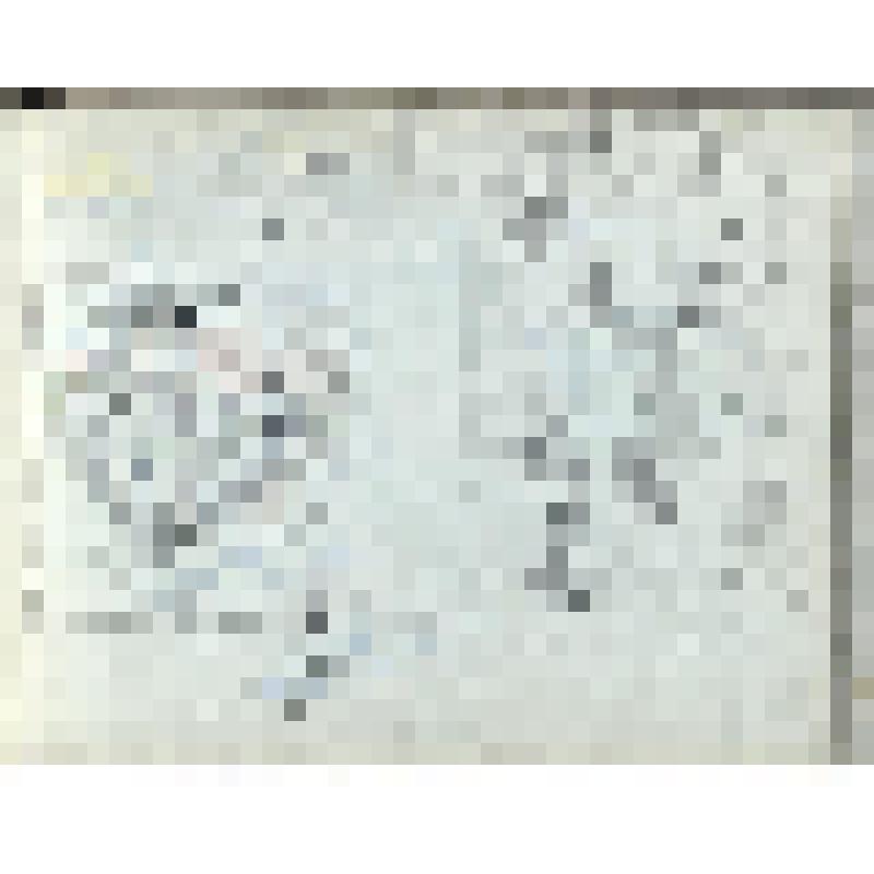 Композиции с воронами и филинами. Лист из альбома