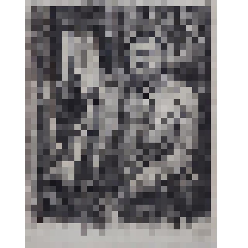 Портрет писателя В. Соколовского. Рисунок