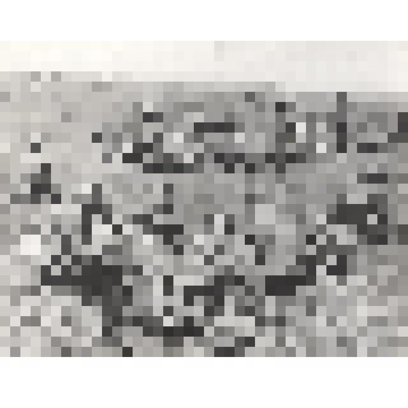 Фотография. Сидоров Рафаэль Вячеславович в годы службы в армии