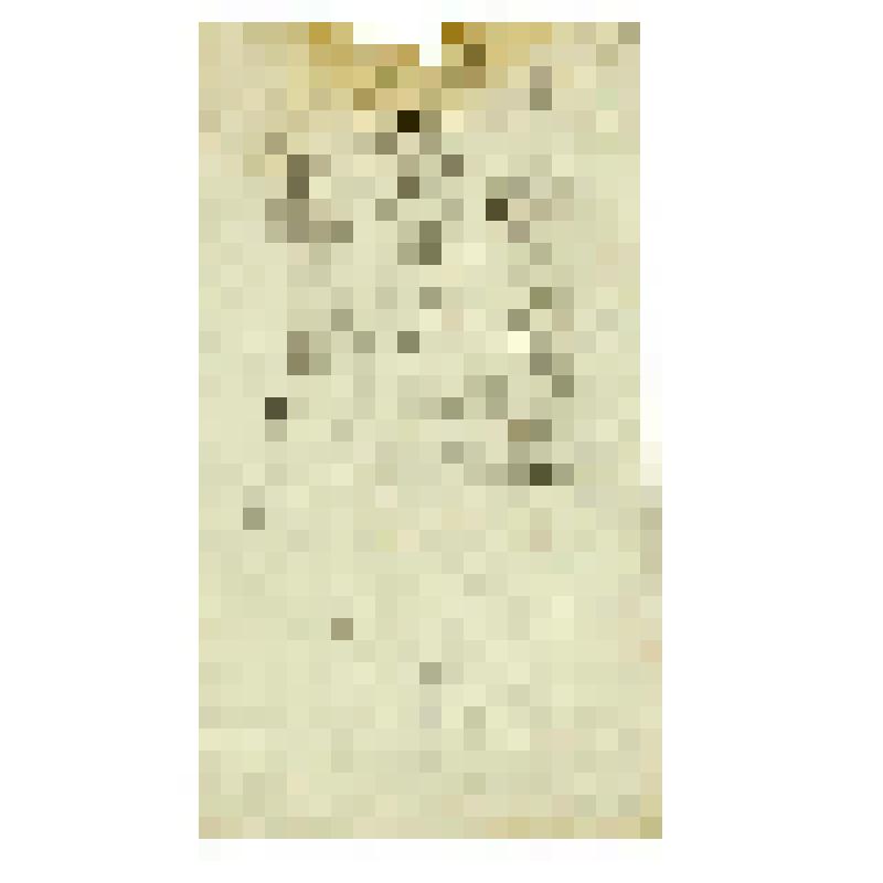 Иконный образец. Богоматерь "Прибавление ума"