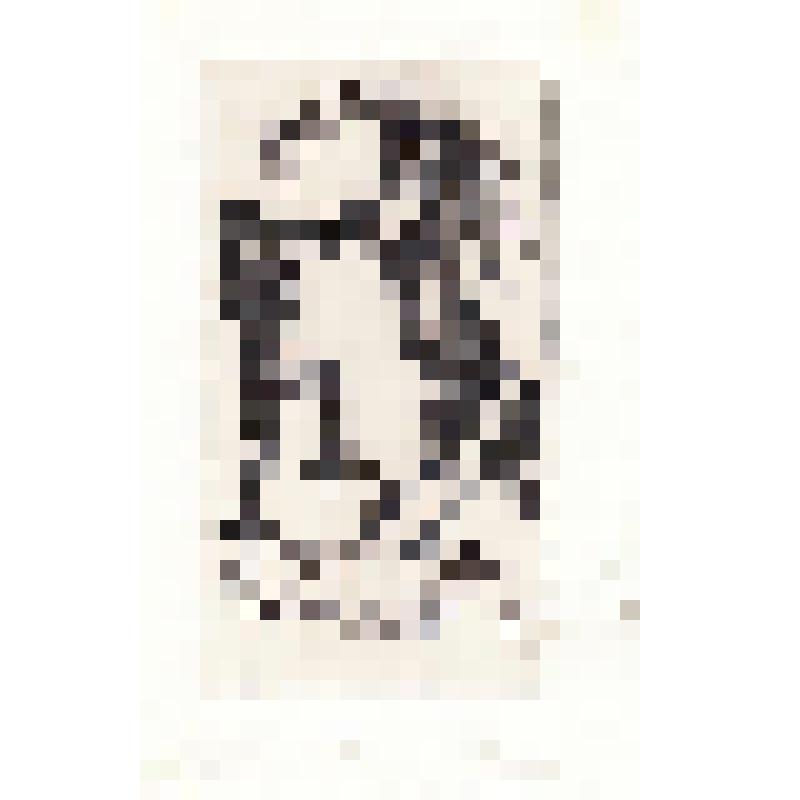 Экслибрис "Ex Libris З.И. Ульмана"