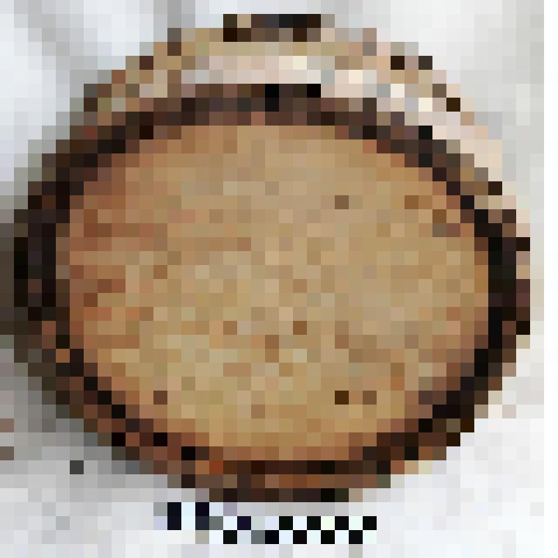 Домашняя хозяйственная утварь из дерева и металла. Кадушка  деревянная  в  форме  цилиндра. Изготовлена  из 13  вертикально  поставленных  и слегка выгнутых клепок