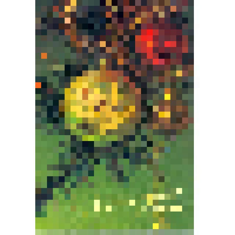 Открытка. Счастья и радости в Новом году!