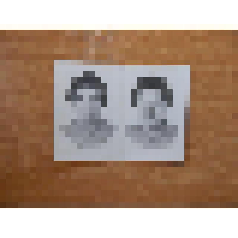 Фотография Дмитриевой З.П. для документа (блок из двух фотографий, в овале)