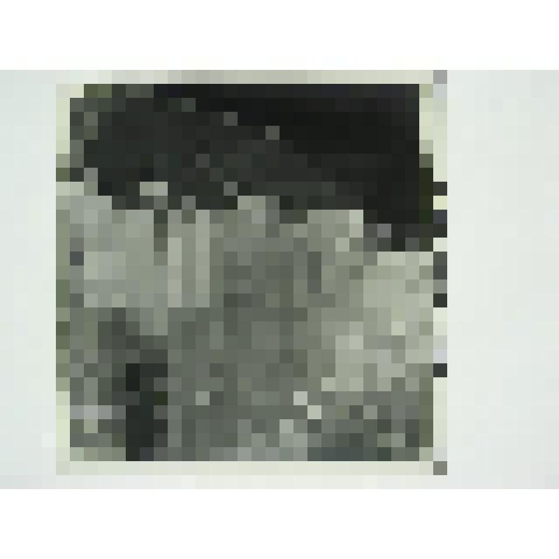 Дом Беспаловых. Ул. Дзержинского, 39. сер. XIX в. Челябинская  обл., г. Карабаш, пос. Южный (с.Саймоновское). Дом Беспаловых. Ул. Дзержинского, 39. сер. XIX в. Вид продольного дворового фасада