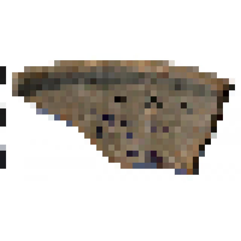 Фрагмент края со стенкой сероглиняной миски