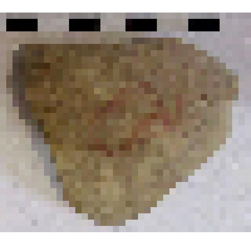 Фрагмент плеча амфоры типа D с дипинто