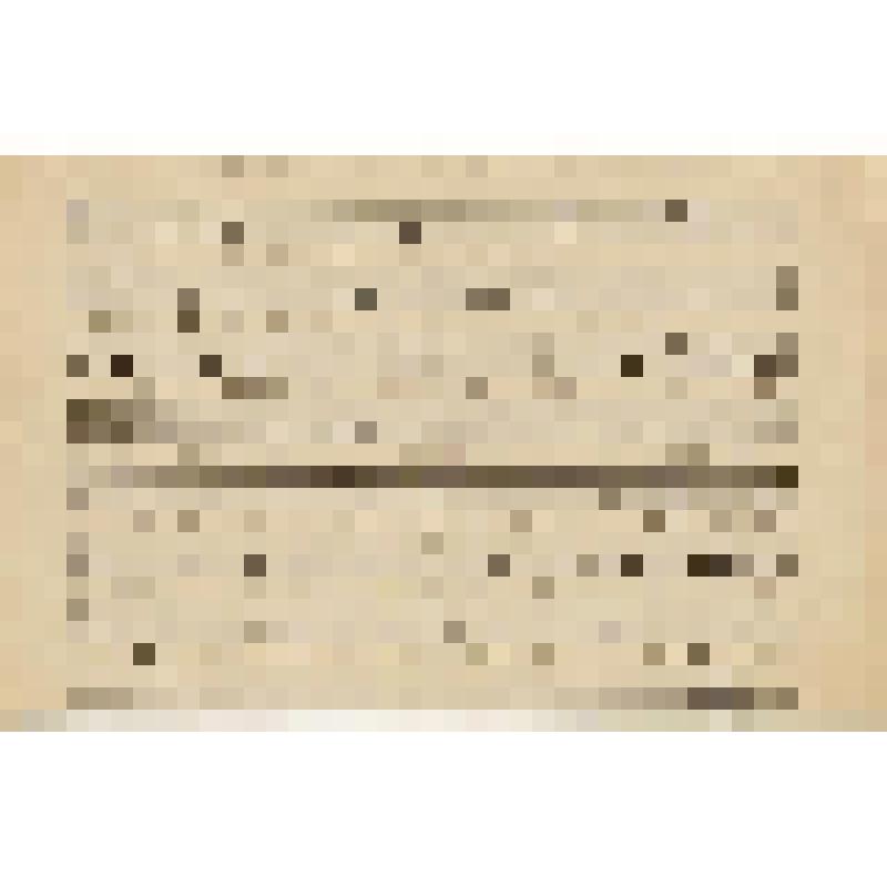 Музыкальная рукопись. Кастальский А.Д. "Отче наш". С демественной крюковой партитуры XVI века. Духовное песнопение