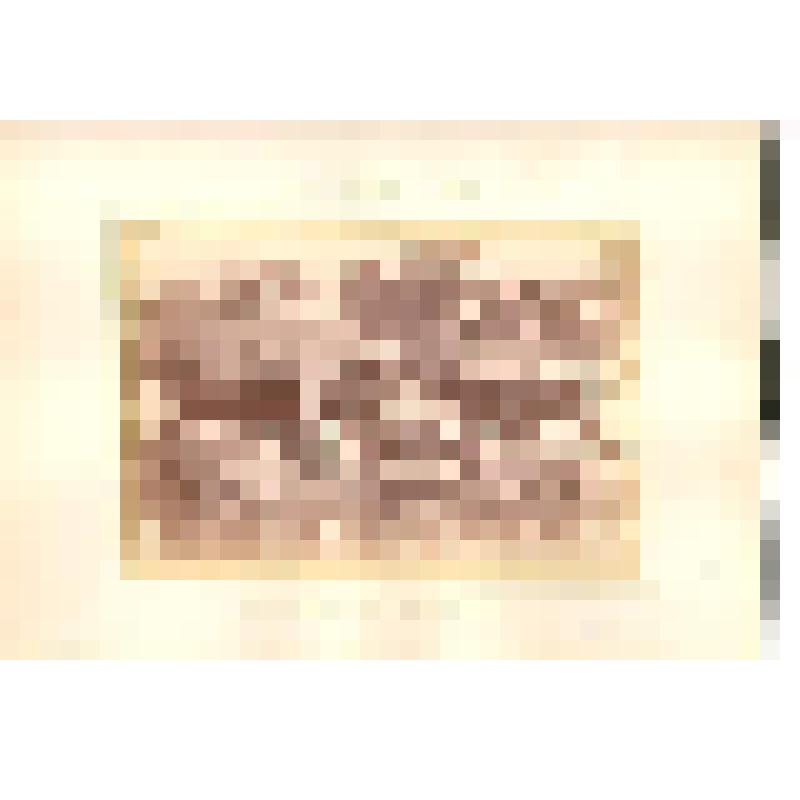 Фотография. Н.Новгород. Черный пруд. Катание на лодке