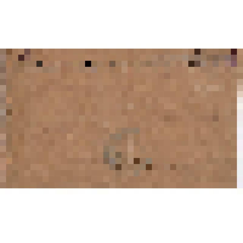 Отношение N 22891 ЦК РКП(б) в Ц.К.К.П.У. о Касаткине П.И