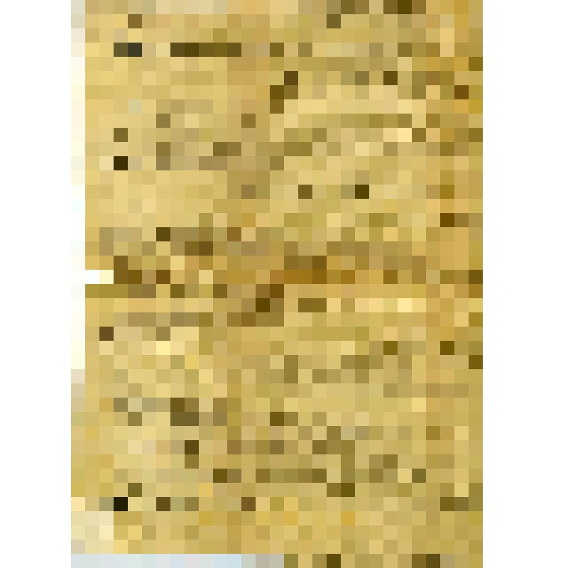 Документ. Приказ №8 Чистопольского уездного революционного комитета