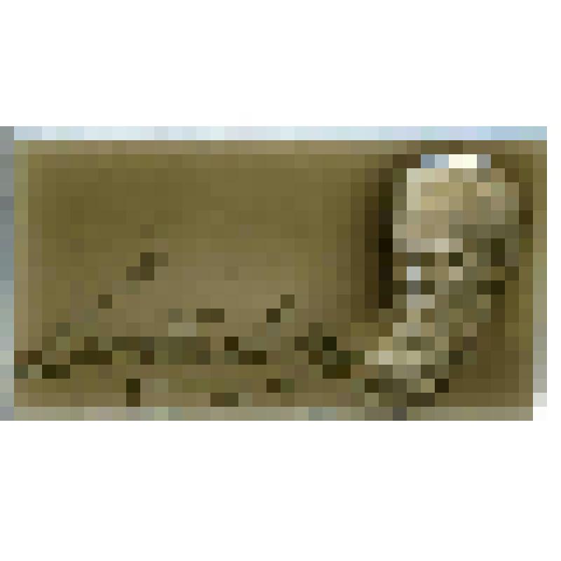 Значок. Достоевский Ф.М. на булавке. СССР