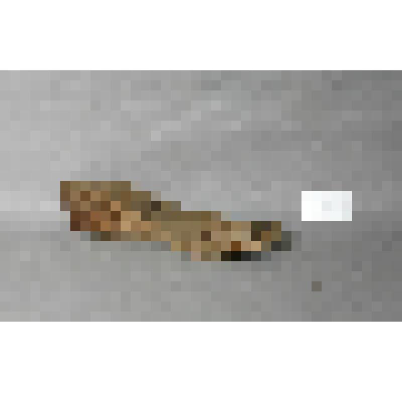 Колодка для обуви