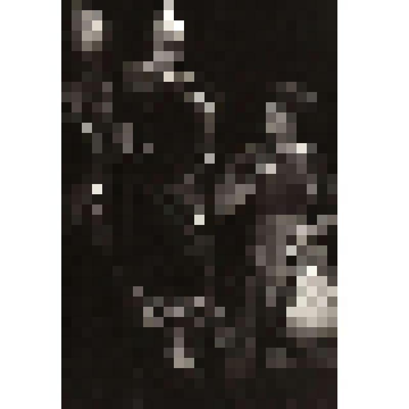 Фотография. Сцена. Справа женщина с мешочком в левой руке. Поколенно. "Кавказский меловой круг" (пост. А. Кац, Л. Белявский, худ. Ю. Феоктистов.). Латвийская ССР, Государственный русский драматический театр