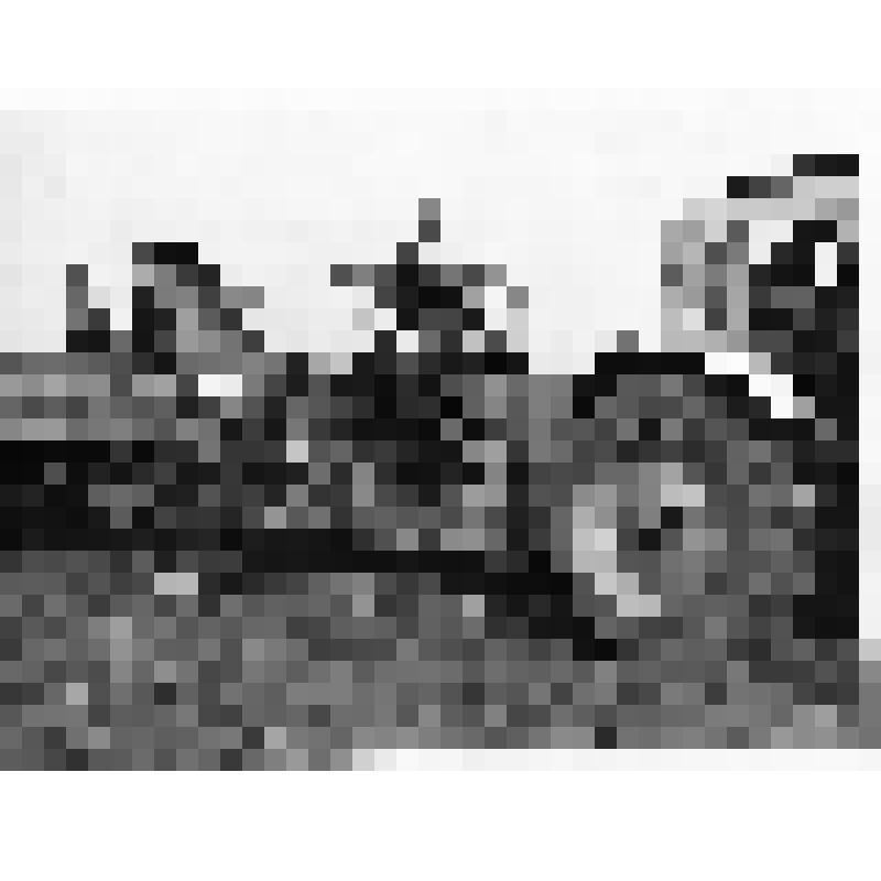 Фотография уборки урожая в совхозе "Котлубань"