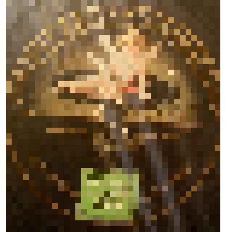 Грампластинка. Пьеса: "Мой милый друг, ты хочешь знать". Исполняет Вяльцева А.Д. /романс/. Россия; Пьеса: "Люблю я или нет". Исполняет Вяльцева А.Д. /романс/ Россия