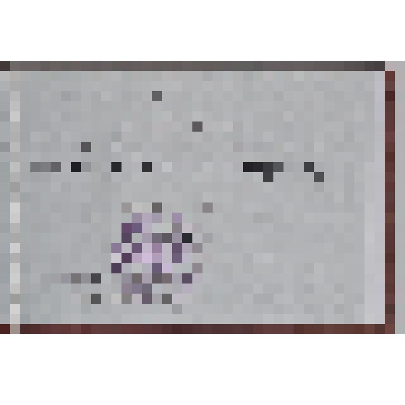 Аттестат профессора Жукоцкого В.Д