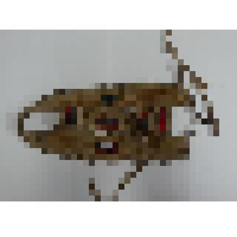 Шлея для ездовой собаки