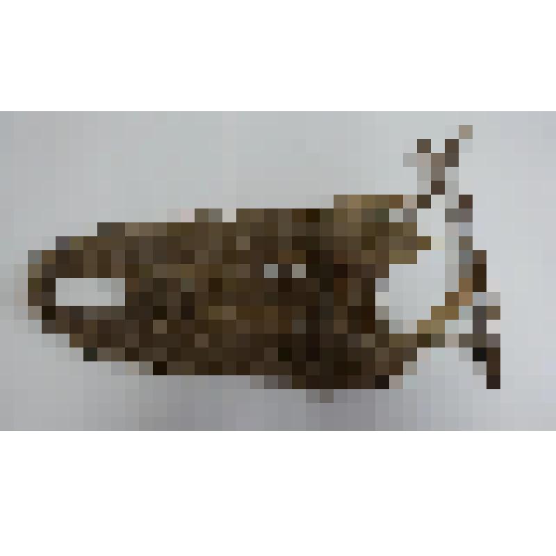 Шлея для ездовой собаки