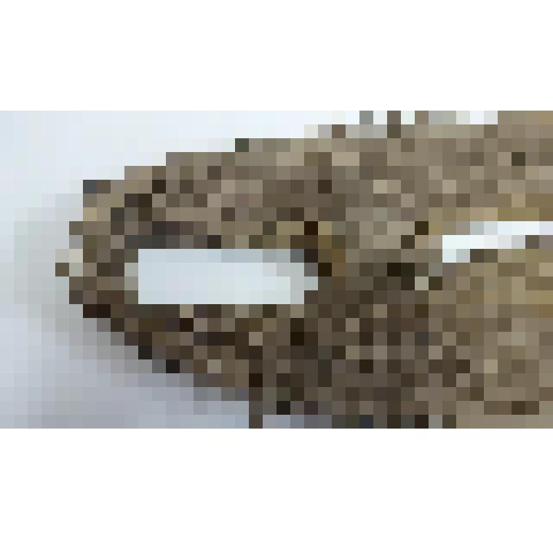 Шлея для ездовой собаки