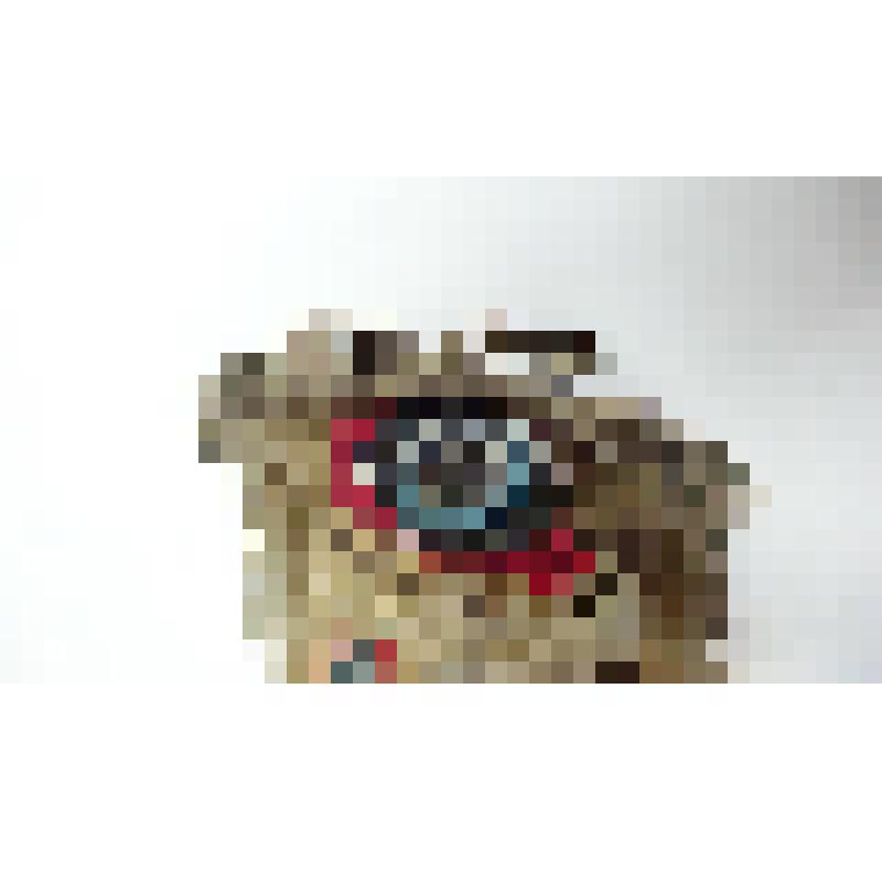 Шлея для ездовой собаки