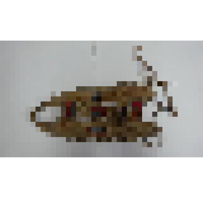 Шлея для ездовой собаки