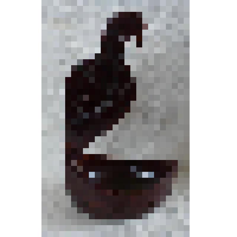 Ковш «Птица»