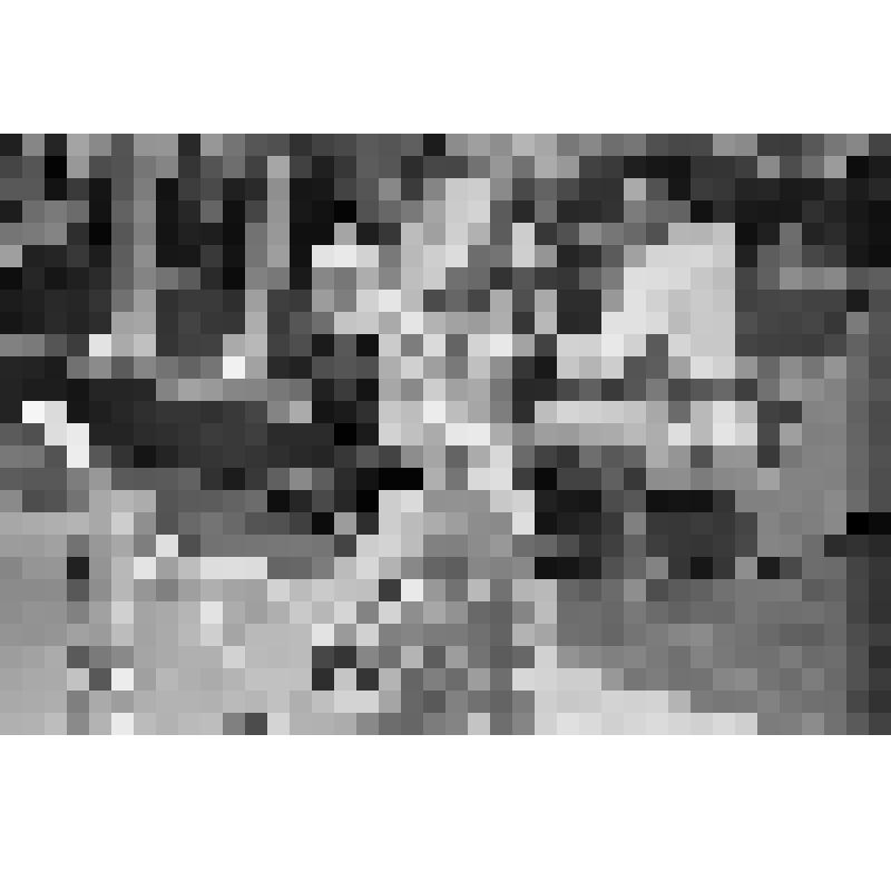 "Сказка о царе Салтане".
Милитриса - Галина Борисова.
Народная артистка России. Меццо-сопрано.
В 1966-2002 гг. - солистка оперной труппы Большого театра