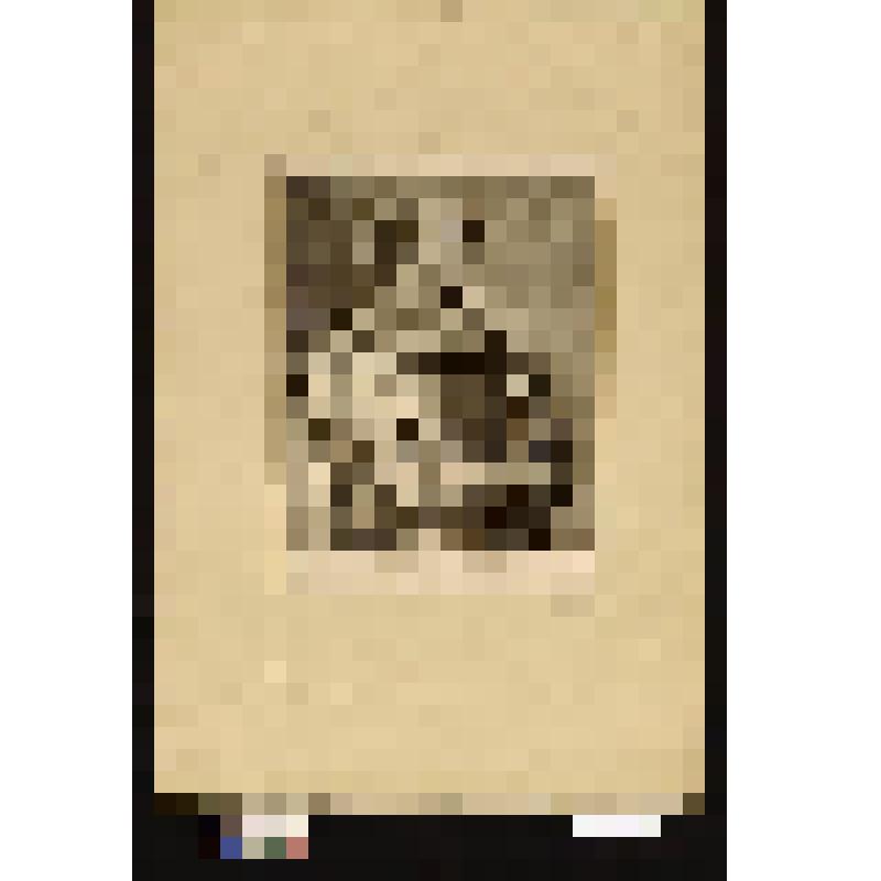 Портрет Петера Снайерса