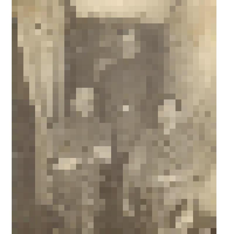 Фотография. Васильев Н.С. с двумя товарищами по работе, 1918 г. (Полурост, группа.)