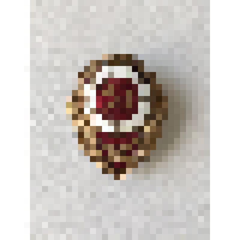 Знак «Отличный стрелок»