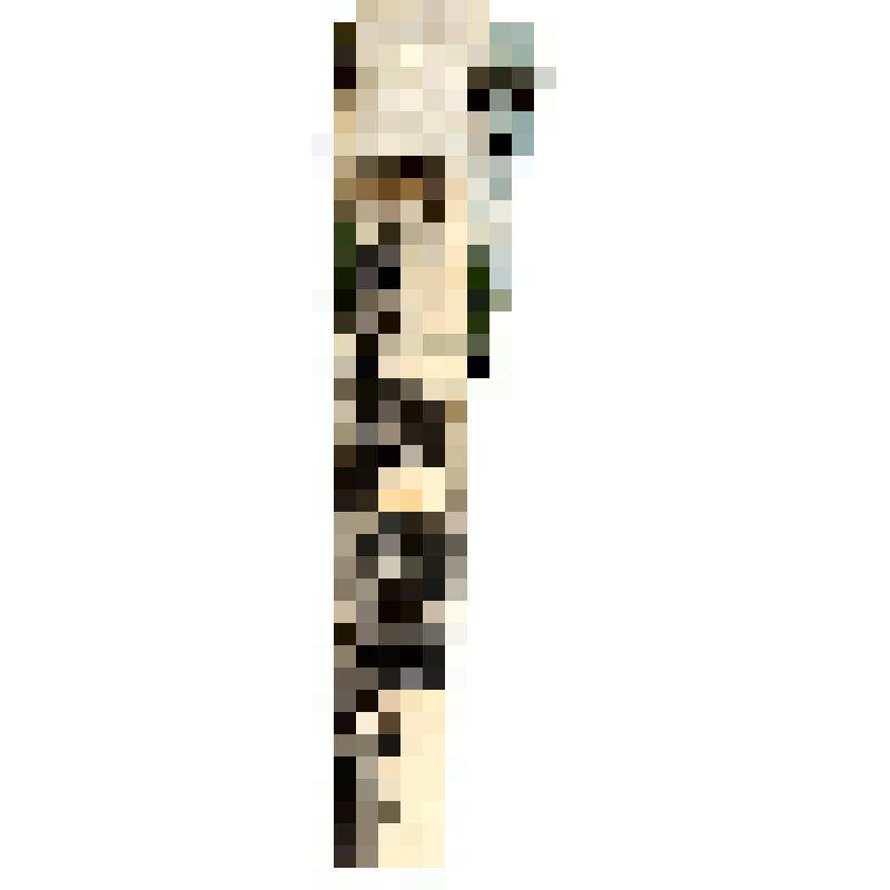 Открытка. Привет из Пскова