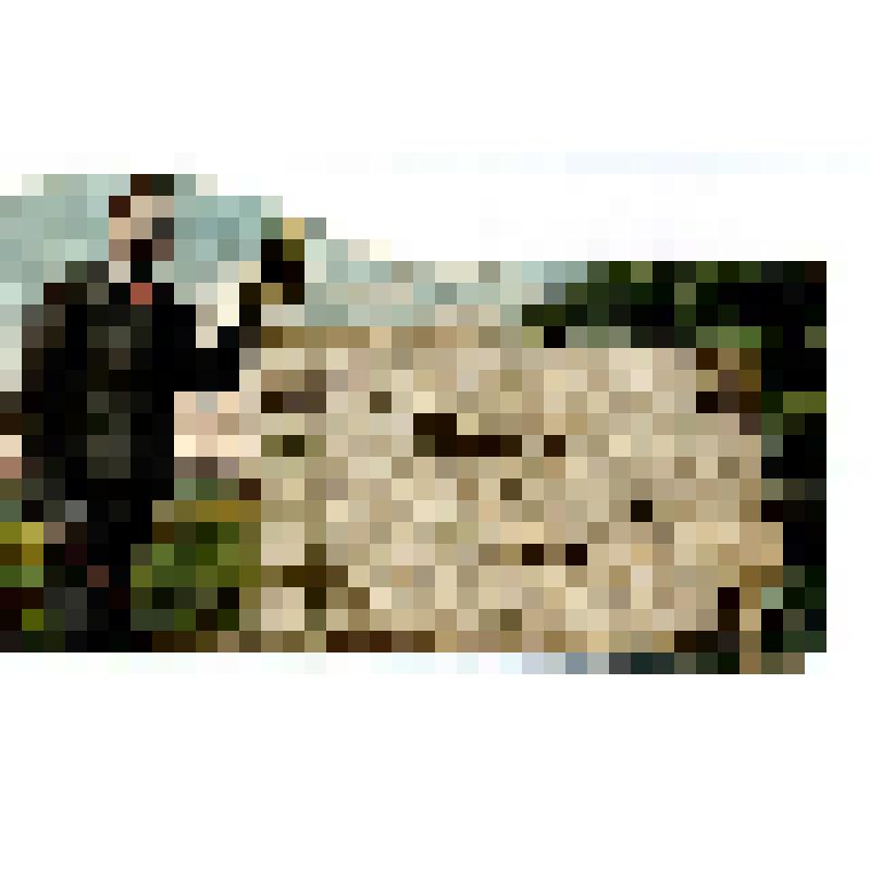 Открытка. Привет из Пскова