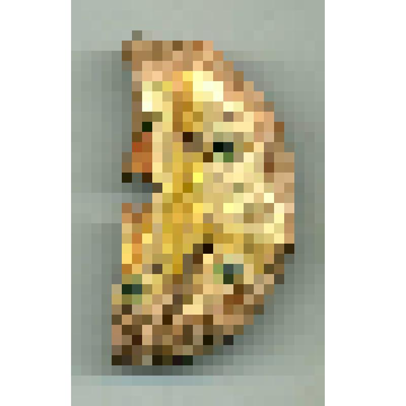 Чаша (фрагмент)