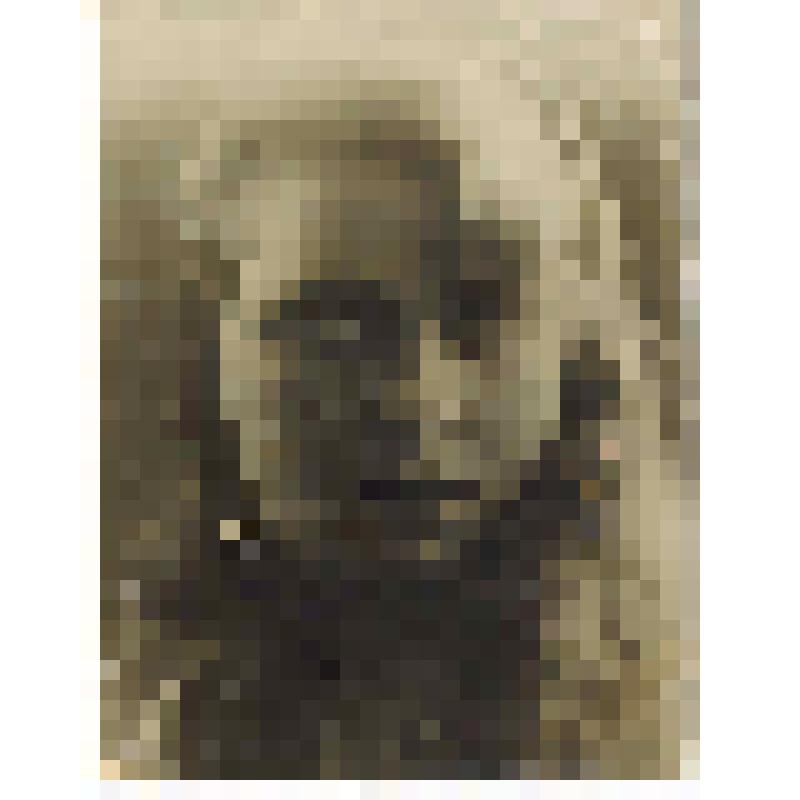 Фотокопия. Павлова Мария, боец, регулировщица ПВО г. Ленинграда