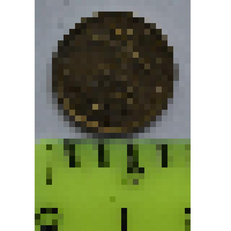 Монета номиналом 10 копеек