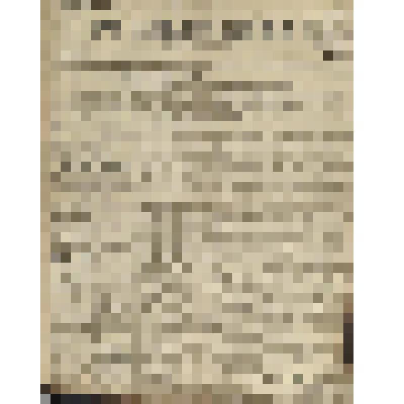 Газета. Русское знамя. № 260 (2 л.;)