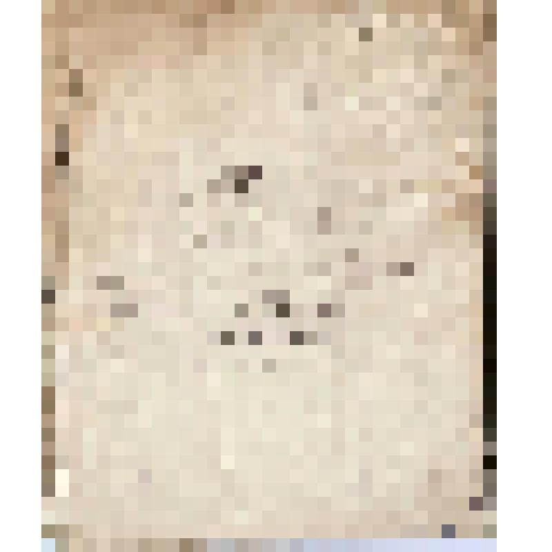 Общий инвентарь чердынского 2-й гильдии купца Г.П.Гусева на 1893 год