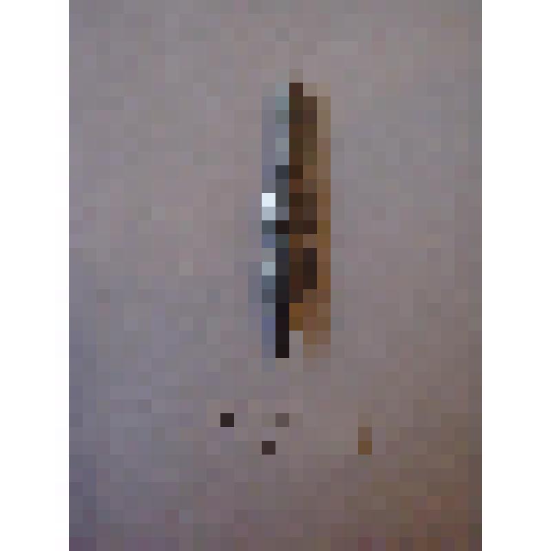 Перо с изображением Л.Н.Толстого