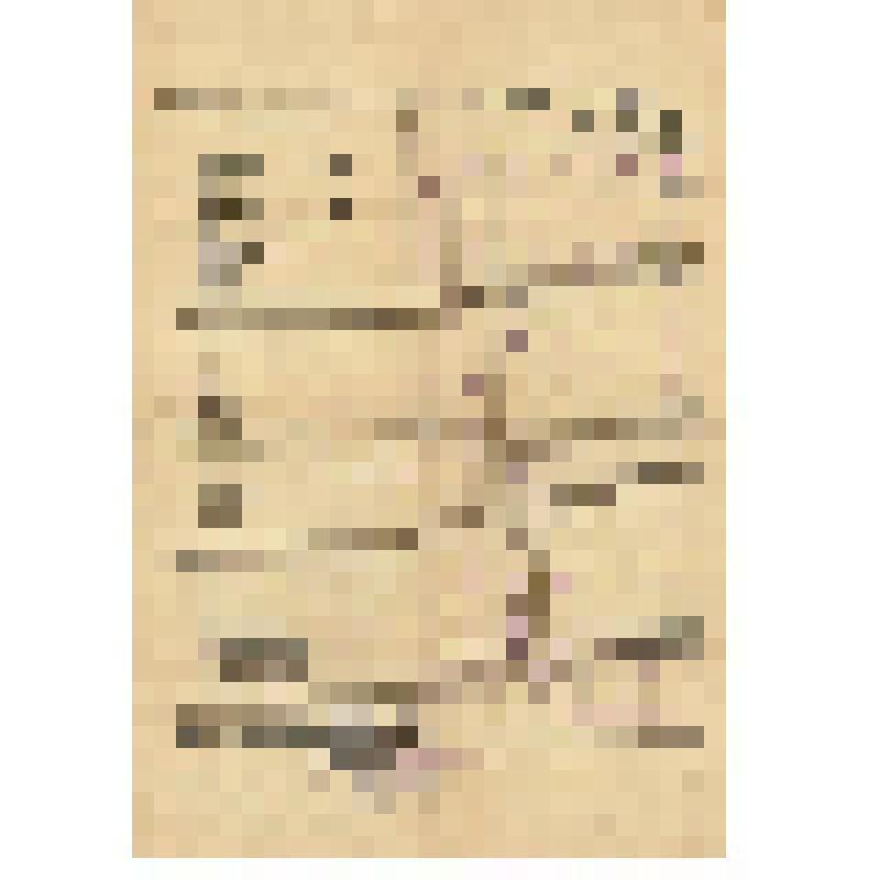 Ведомость успеваемости и посещаемости уч-ка V «а» кл. средней школы села В-Рыбного Партизанского района Красноярского края Торочешникова Владимира за 1950-51 учебный год