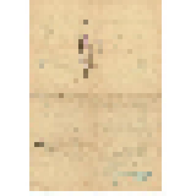 Ведомость успеваемости и посещаемости уч-ка V «а» кл. средней школы села В-Рыбного Партизанского района Красноярского края Торочешникова Владимира за 1950-51 учебный год