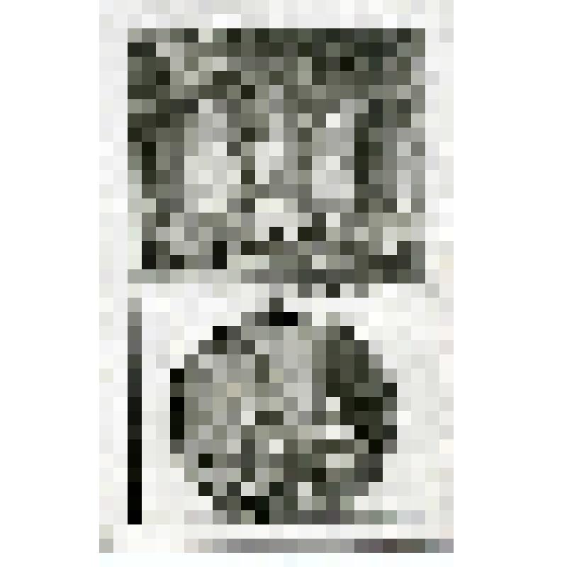 Офорт. Лист 179. Павел проповедует в Афинах, алтарь посвященный «неведомому Богу». Павел в Коринфе занимается шитьем палаток (Деян. 17, 18)