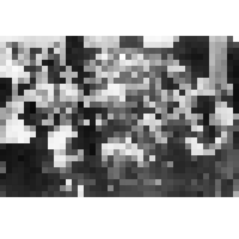 Негатив. Урок в музыкальной школе