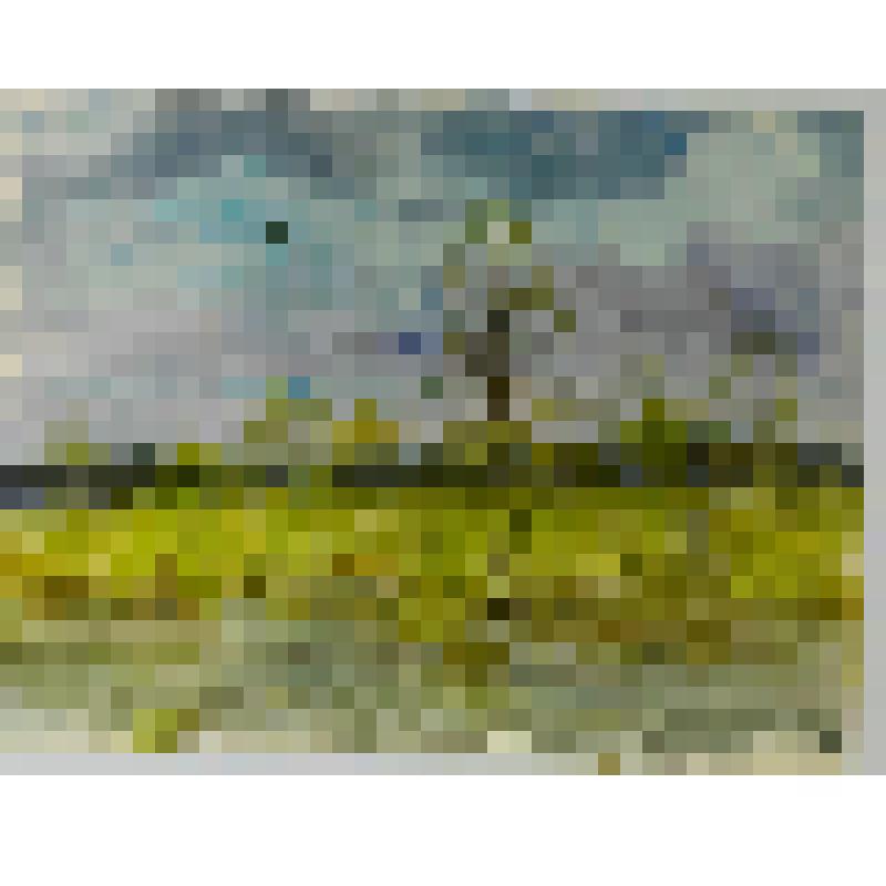 Акварель. Природа оживает