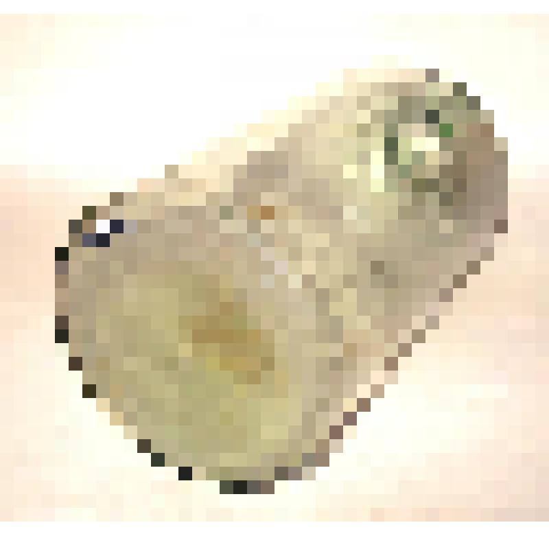 Бутыль