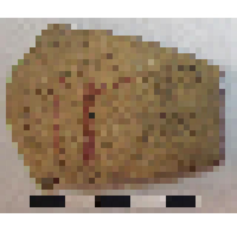 Фрагмент плеча амфоры типа D с дипинти