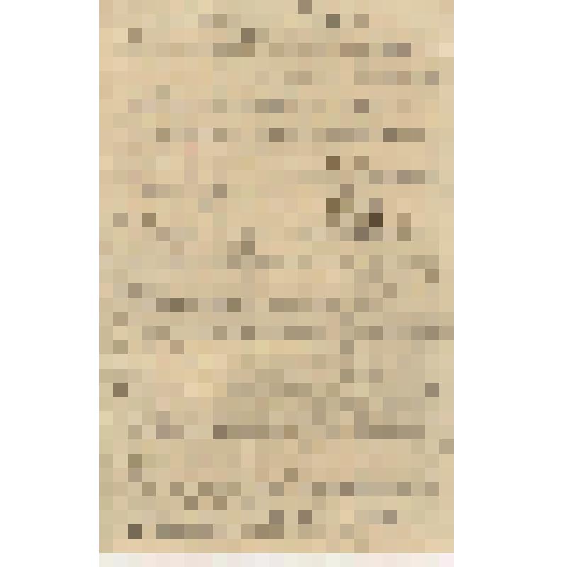 Литературная рукопись. Кастальский А.Д. [О музыкальном искусстве]. Отрывок